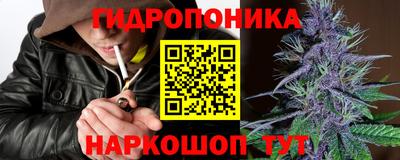 твердый Будённовск