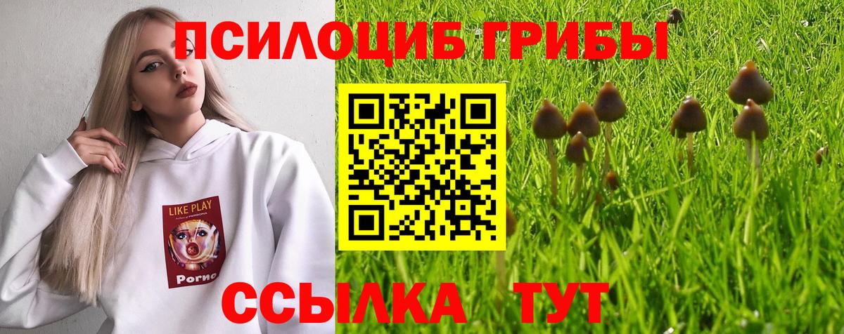 Псилоцибиновые грибы GOLDEN TEACHER Норильск